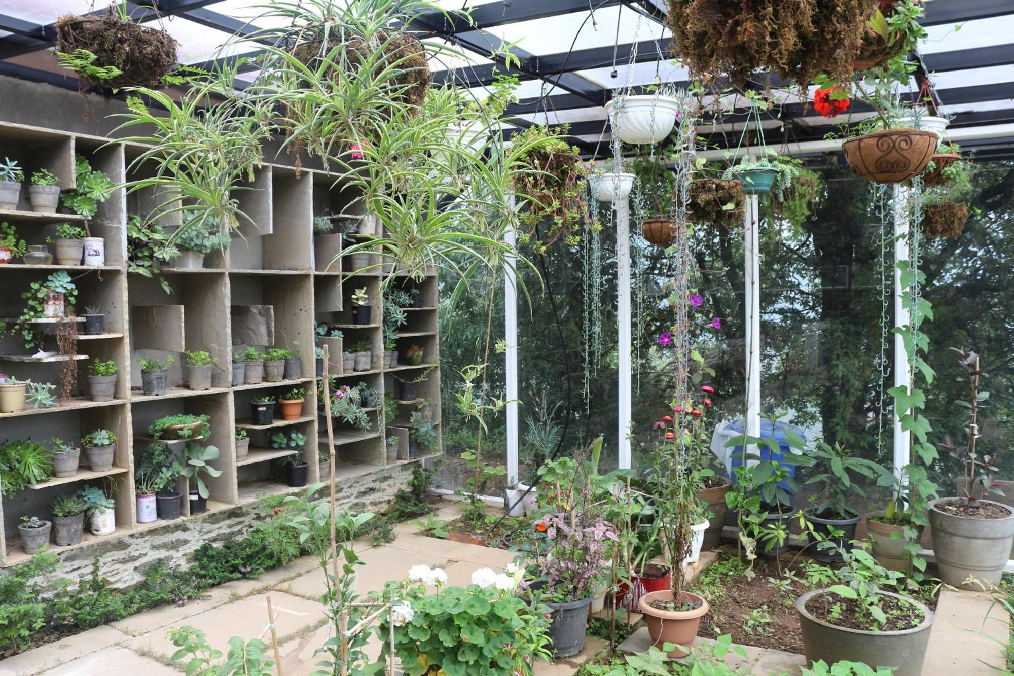 Dwarahat Dunagiri Retreat מראה חיצוני תמונה